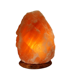 Salt lamp electric wood base